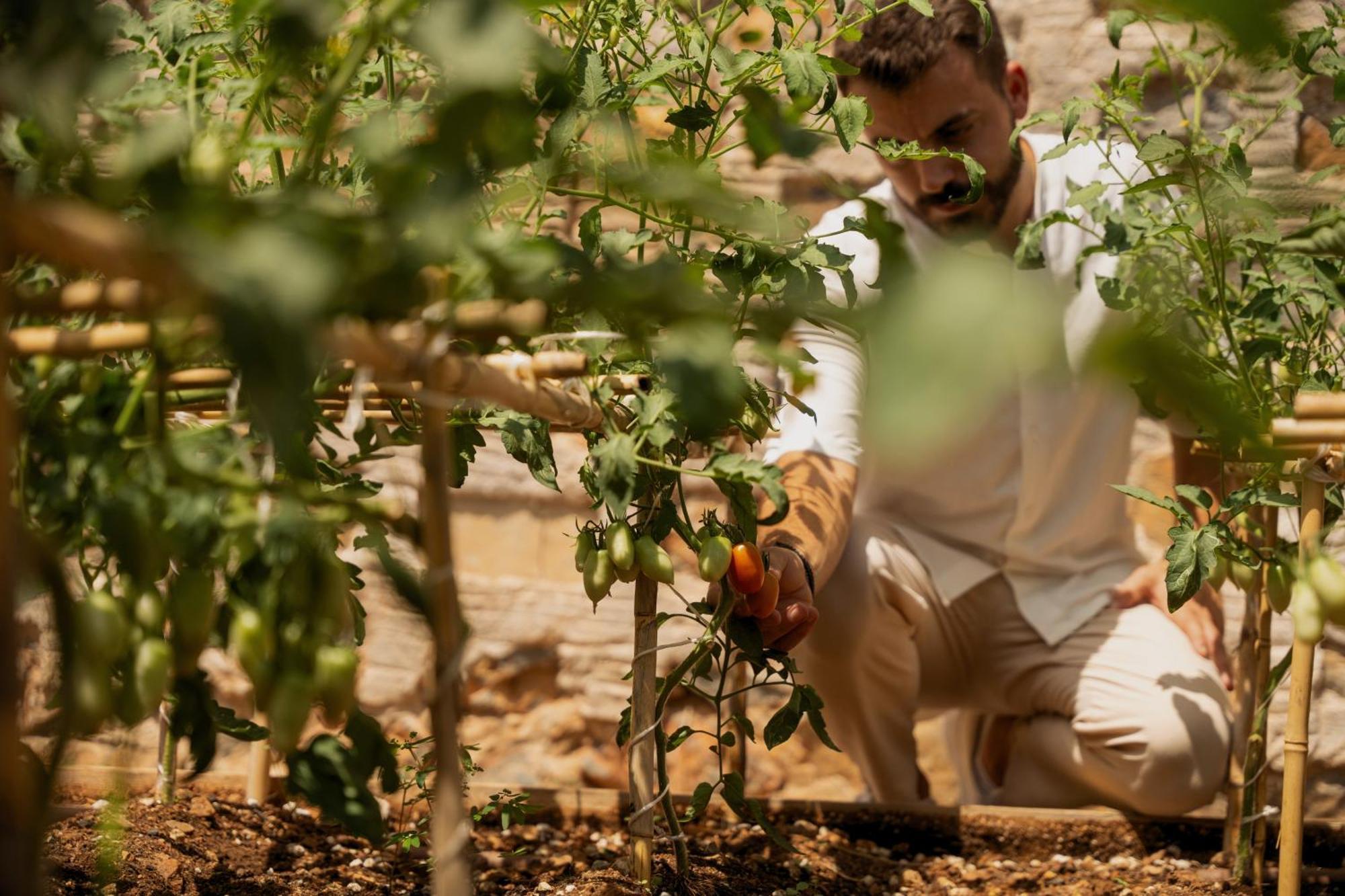 Minos Palace Resort - Adults Only Agios Nikolaos  Bagian luar foto A farmer in the Negev